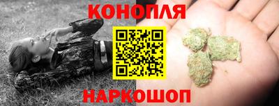 прущие грибы Комсомольск-на-Амуре