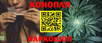 прущие грибы Комсомольск-на-Амуре