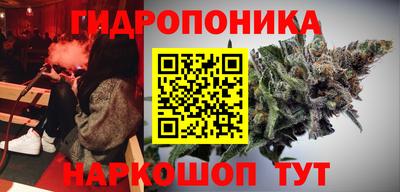 прущие грибы Комсомольск-на-Амуре