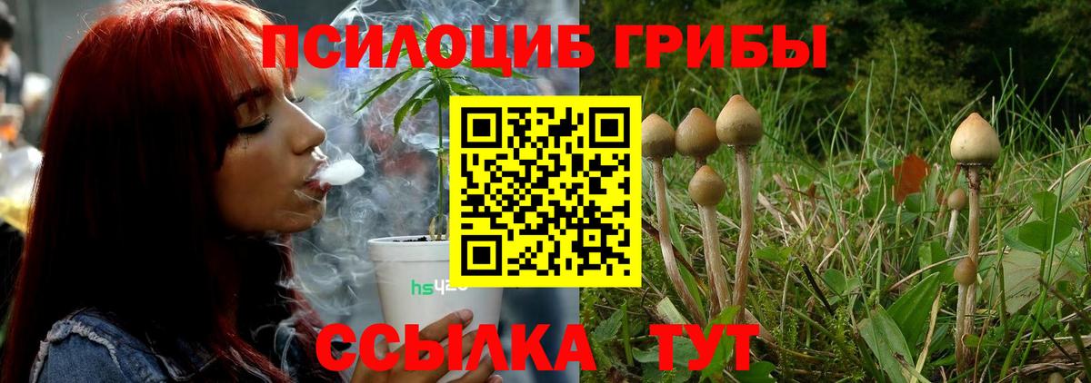 Псилоцибиновые грибы GOLDEN TEACHER  Вход с VPN  Галлюциногенные грибы мухоморы  Морозовск 