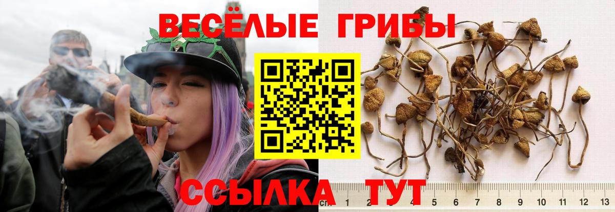 Галлюциногенные грибы MAGIC MUSHROOMS Морозовск